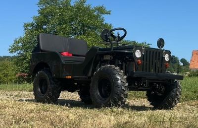 Styrian Tuk ®   2.0   Legales Zweispuriges Lastenfahrrad