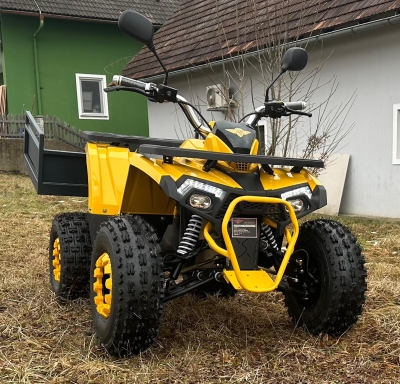 Goliath 1.1 Lastenfahrrad Modell 24