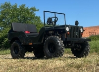 Styrian Tuk ®   2.0   Legales Zweispuriges Lastenfahrrad
