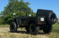 Styrian Tuk ®   2.0   Legales Zweispuriges Lastenfahrrad