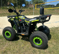 Neu ECO Storm 125 Modernes Lastenfahrrad