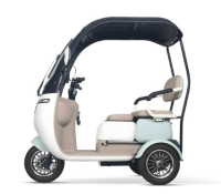 Mulli 3.1  Lastenfahrrad / Bike