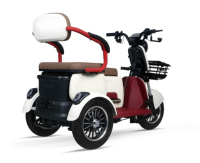 Mulli 3.1L  Lastenfahrrad / Bike