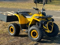 Goliath 1.1 ATV Quad  Modell 25