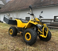 Goliath 1.1 ATV Quad  Modell 25